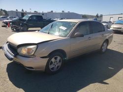 Chevrolet Malibu salvage cars for sale: 2005 Chevrolet Malibu LS