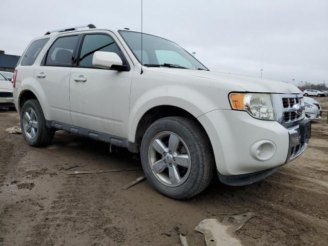 2011 Ford Escape Limited