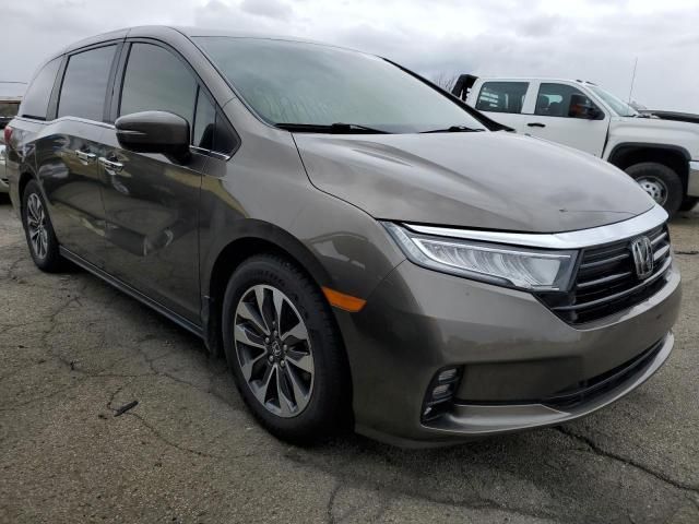 2021 Honda Odyssey EXL