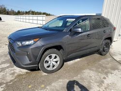 Toyota Rav4 salvage cars for sale: 2019 Toyota Rav4 LE