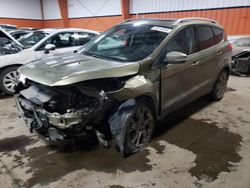 Salvage cars for sale at Rocky View County, AB auction: 2014 Ford Escape Titanium