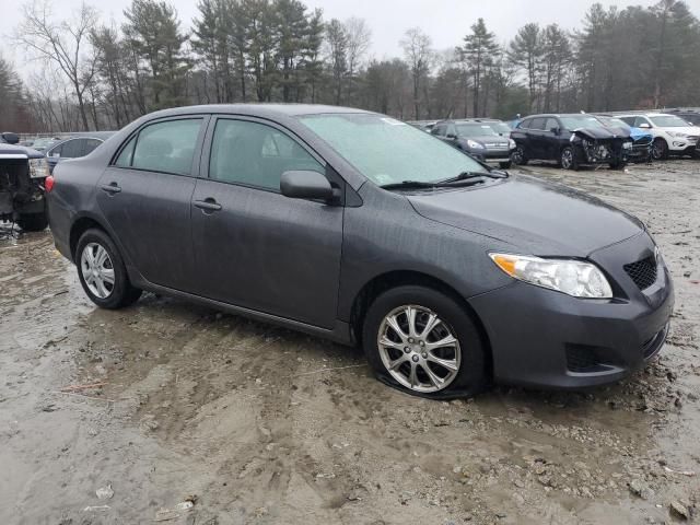 2010 Toyota Corolla Base