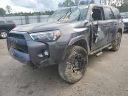 Salvage cars for sale at Harleyville, SC auction: 2022 Toyota 4runner SR5