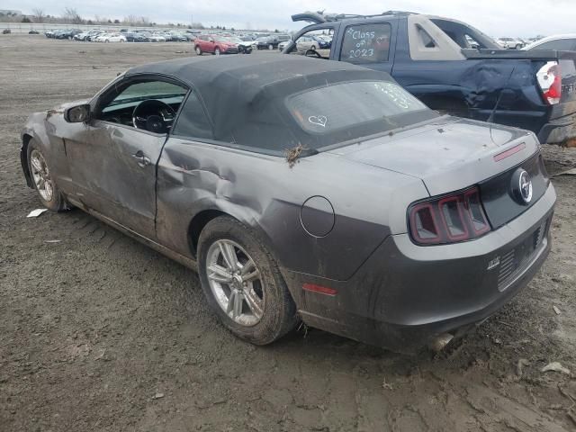 2014 Ford Mustang