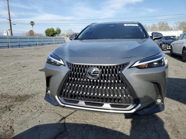 2024 Lexus NX 250 Premium