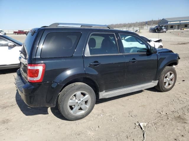 2010 Ford Escape Limited