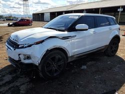 Land Rover Range Rover salvage cars for sale: 2013 Land Rover Range Rover Evoque Pure Plus