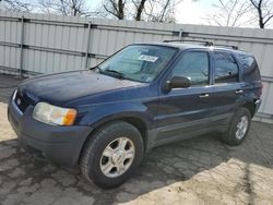 Ford Escape XLT Vehiculos salvage en venta: 2003 Ford Escape XLT