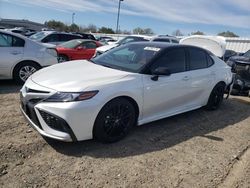 Toyota Camry salvage cars for sale: 2024 Toyota Camry XSE