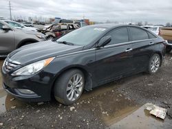 Hyundai Vehiculos salvage en venta: 2013 Hyundai Sonata SE