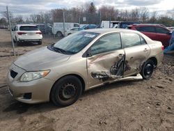 Salvage cars for sale from Copart Chalfont, PA: 2009 Toyota Corolla Base