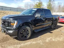 Salvage cars for sale at Davison, MI auction: 2023 Ford F150 Supercrew