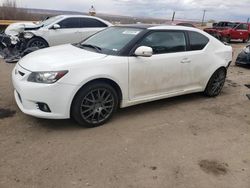 Salvage cars for sale from Copart Albuquerque, NM: 2012 Scion TC