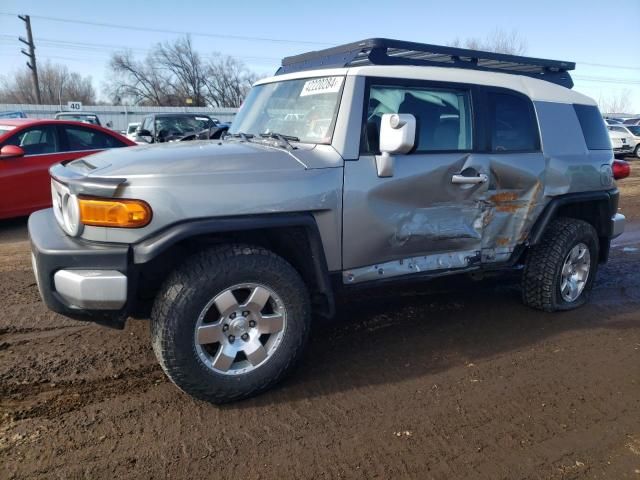 2010 Toyota FJ Cruiser