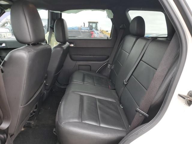 2011 Ford Escape Limited