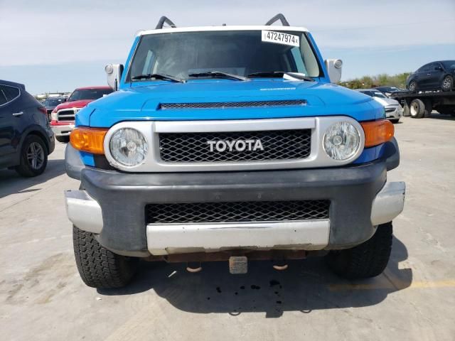 2007 Toyota FJ Cruiser