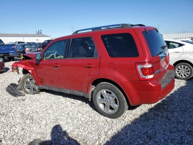 2011 Ford Escape Limited