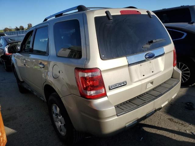 2012 Ford Escape Limited