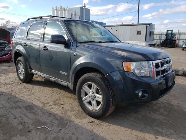 2008 Ford Escape HEV