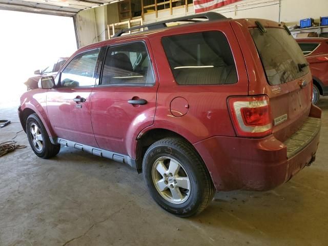 2009 Ford Escape XLT