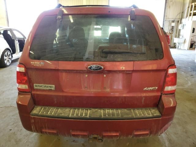 2009 Ford Escape XLT