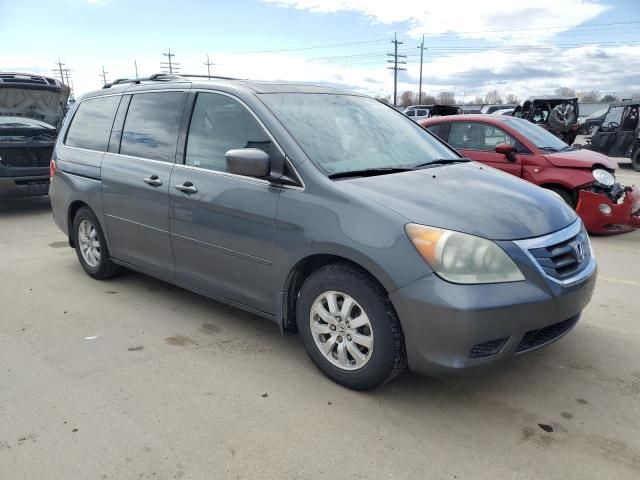 2010 Honda Odyssey EXL