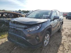 Toyota Rav4 XLE salvage cars for sale: 2020 Toyota Rav4 XLE