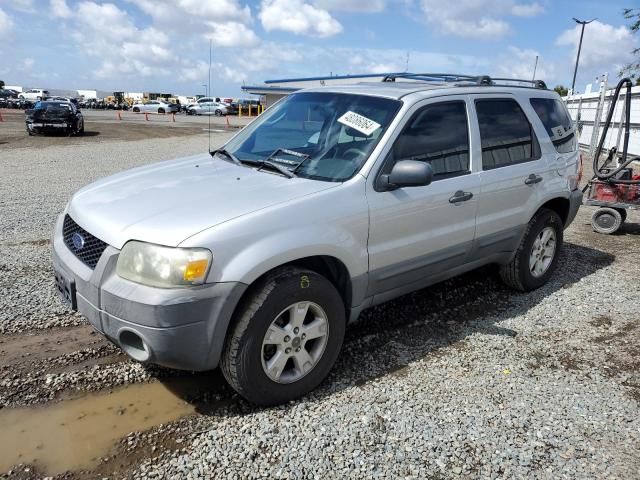 2007 Ford Escape XLT