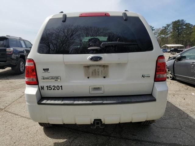 2012 Ford Escape XLT