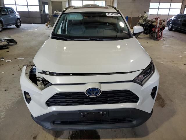 2021 Toyota Rav4 XLE Premium