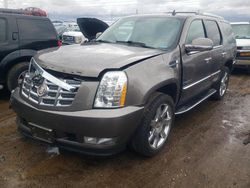 Salvage cars for sale at Elgin, IL auction: 2013 Cadillac Escalade Luxury