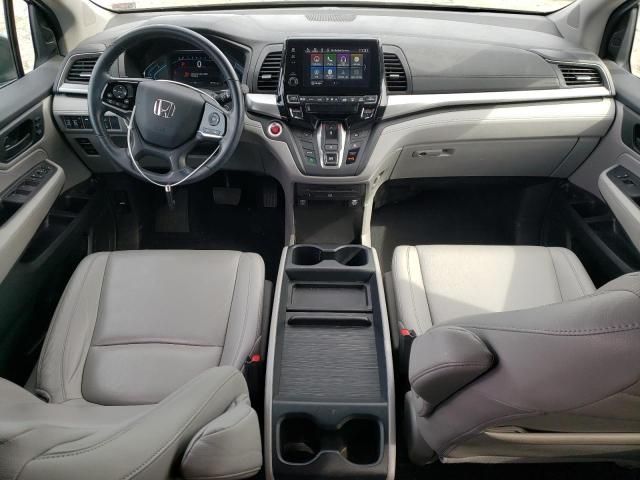 2019 Honda Odyssey EXL