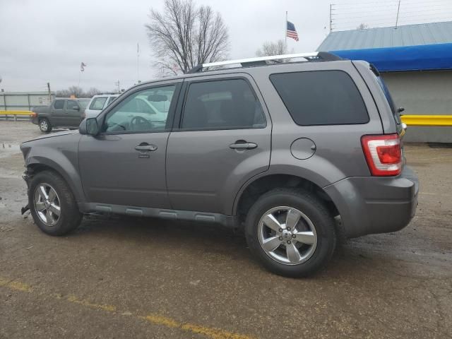 2011 Ford Escape Limited