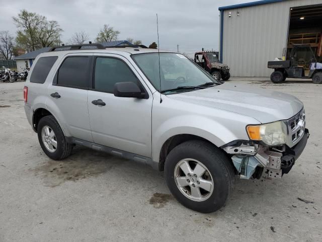 2011 Ford Escape XLT