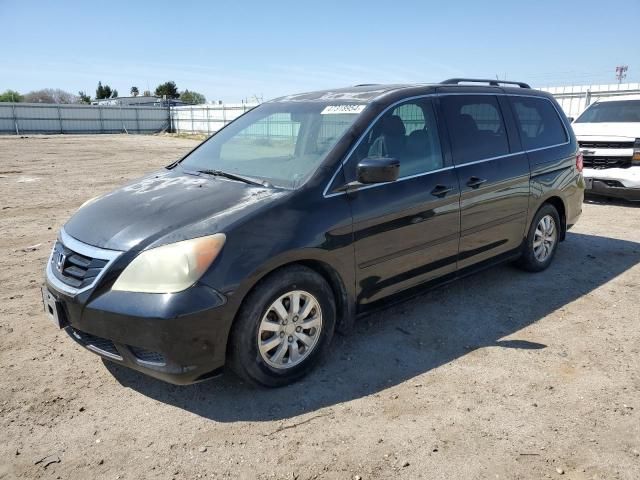 2010 Honda Odyssey EXL