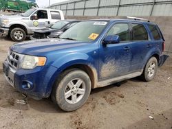 Salvage cars for sale from Copart Albuquerque, NM: 2008 Ford Escape HEV