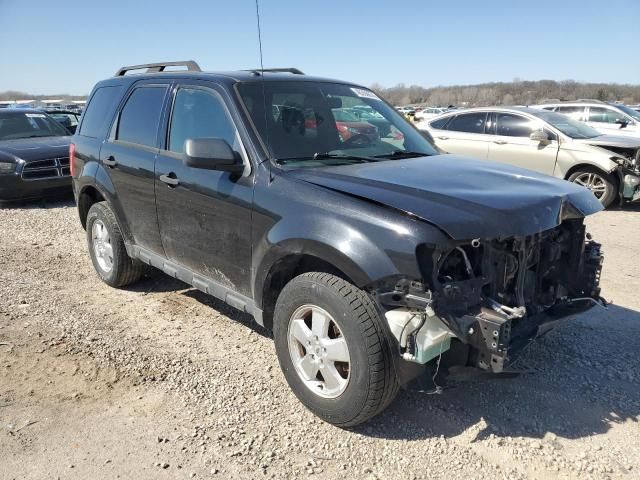 2011 Ford Escape XLT