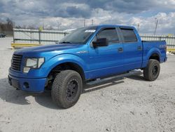 2014 Ford F150 Supercrew for sale in Lawrenceburg, KY