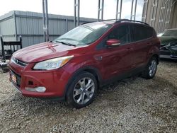 Ford Escape sel salvage cars for sale: 2013 Ford Escape SEL