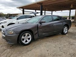 Dodge salvage cars for sale: 2013 Dodge Charger SE