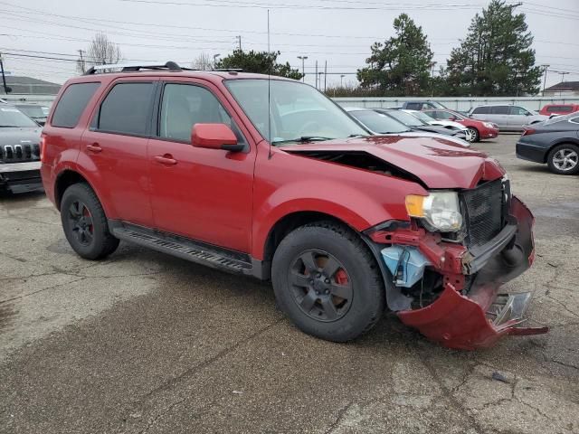 2011 Ford Escape Limited