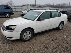 Salvage cars for sale from Copart Louisville, KY: 2005 Chevrolet Malibu LS