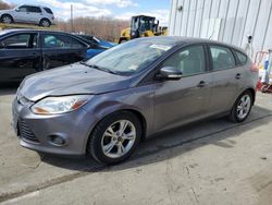 Ford Focus SE salvage cars for sale: 2014 Ford Focus SE