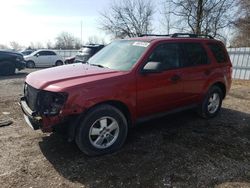 Salvage cars for sale from Copart London, ON: 2010 Ford Escape XLT
