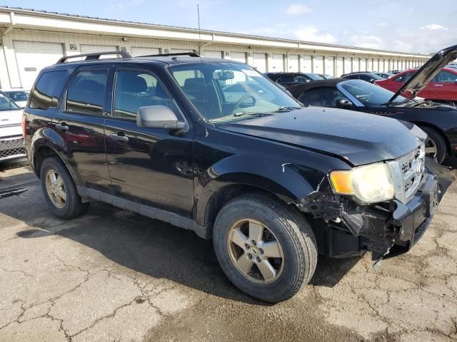 2010 Ford Escape XLT