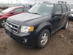 2011 Ford Escape XLT en venta en Elgin, IL