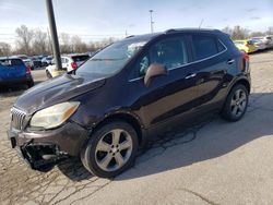 Salvage cars for sale from Copart Fort Wayne, IN: 2013 Buick Encore Convenience