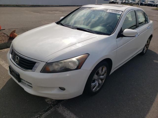 2008 Honda Accord EXL