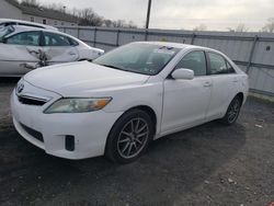 Salvage cars for sale from Copart York Haven, PA: 2011 Toyota Camry Hybrid