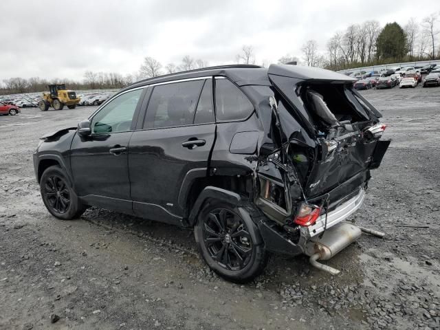 2023 Toyota Rav4 SE